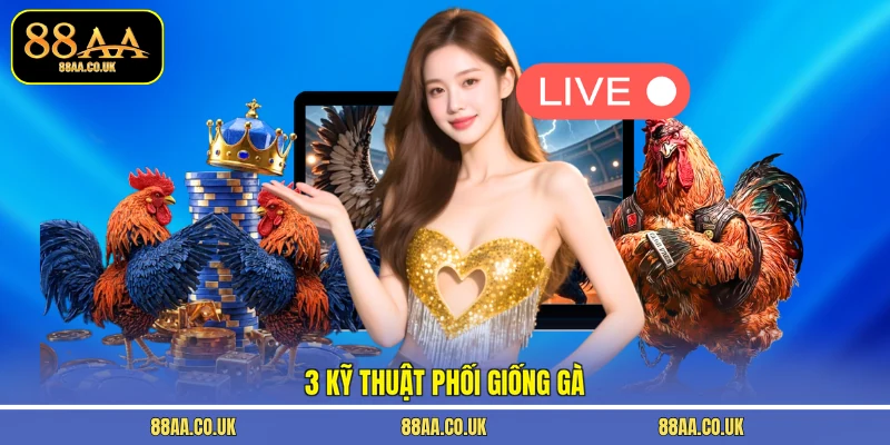 3 kỹ thuật phối giống gà 
