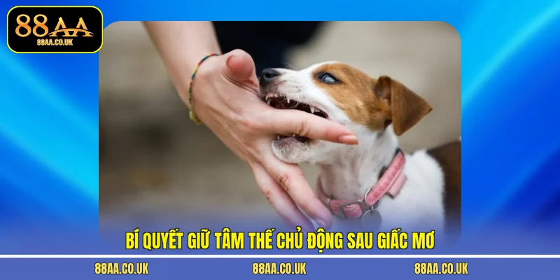 Bí quyết giữ tâm thế chủ động sau giấc mơ