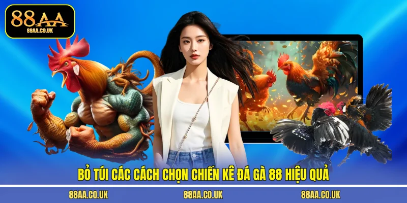 Bỏ túi các cách chọn chiến kê đá gà 88 hiệu quả