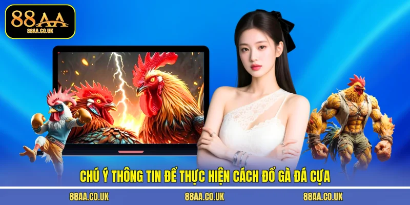Chú ý thông tin để thực hiện cách đổ gà đá cựa