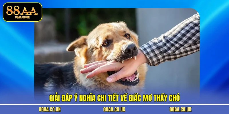 Giải đáp ý nghĩa chi tiết về giấc mơ thấy chó