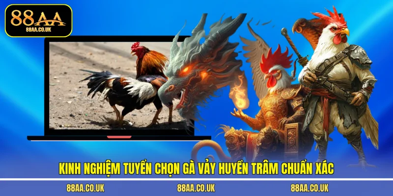 Kinh nghiệm tuyển chọn gà vảy huyền trâm chuẩn xác